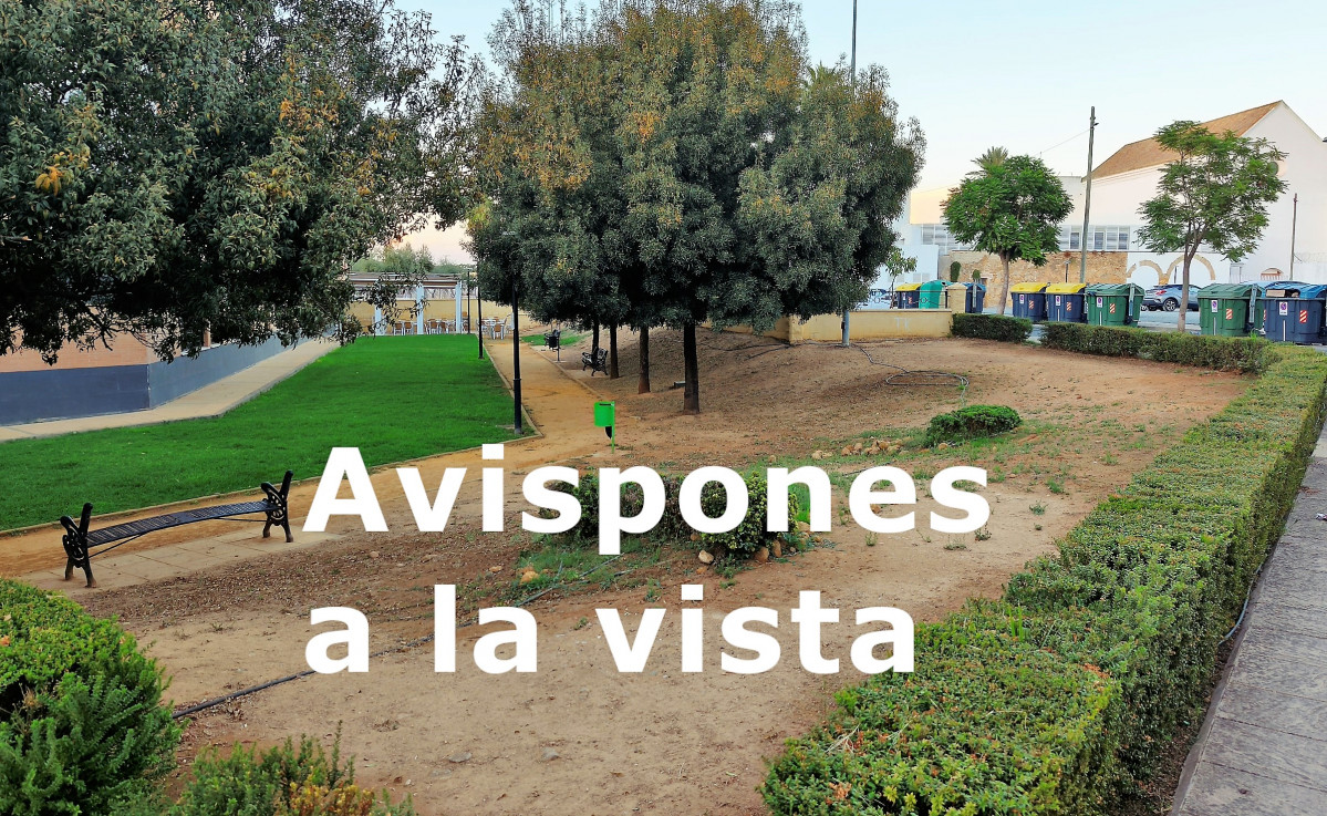 Portada1