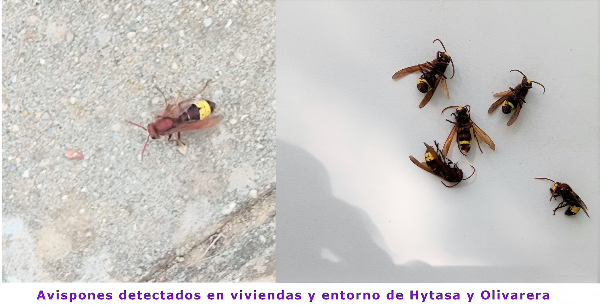 Sin nombre