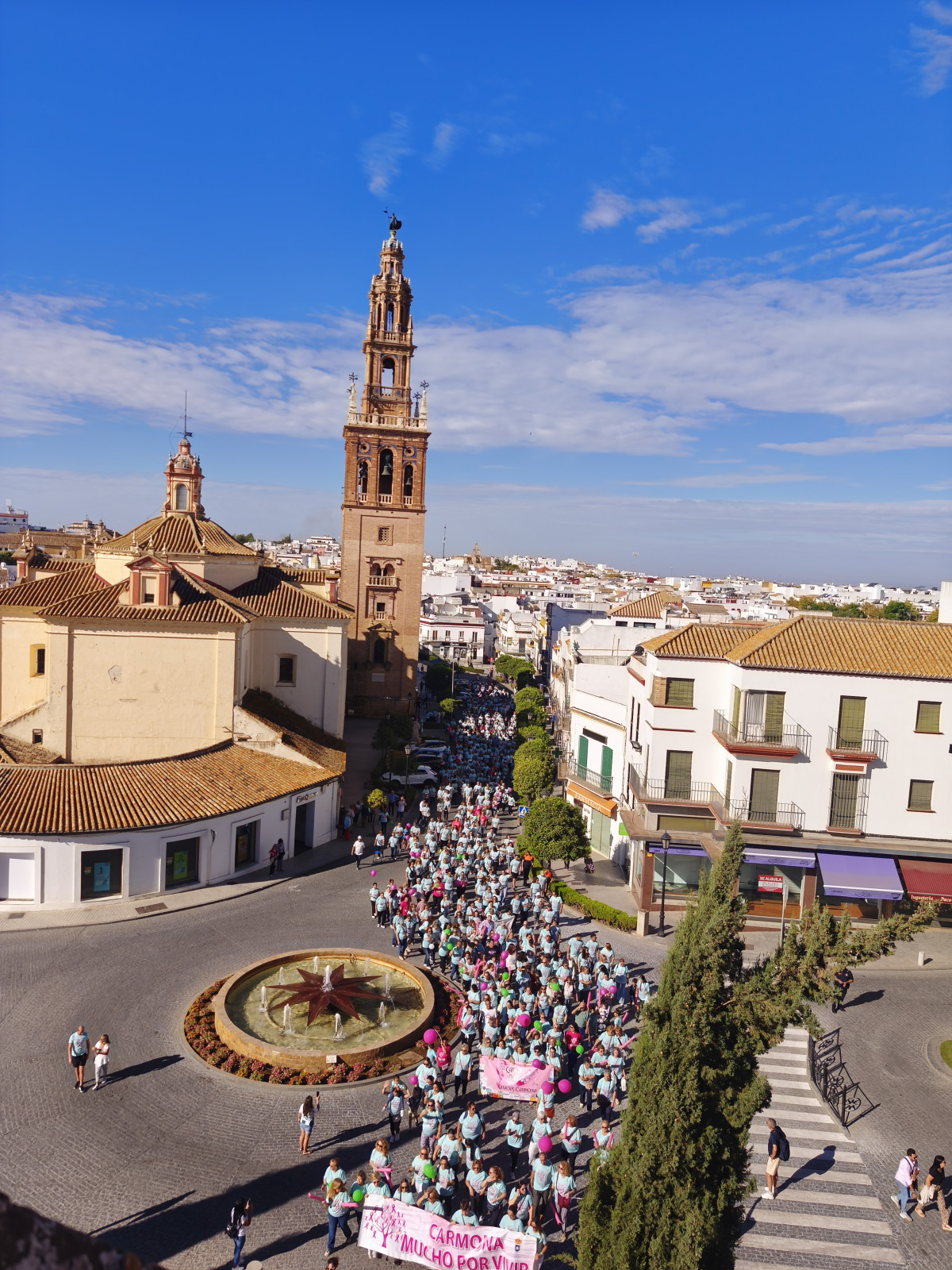 IMG 20251019 114051