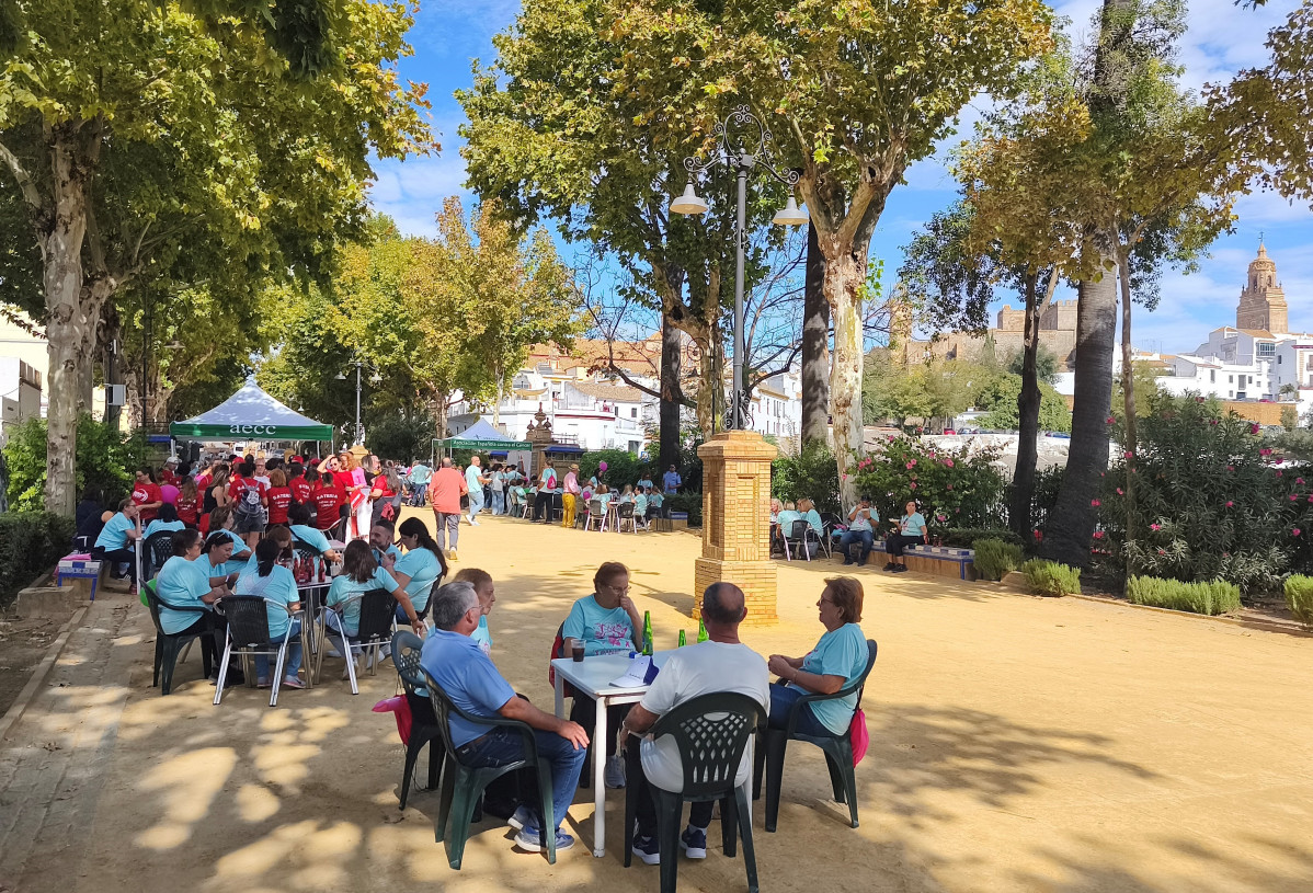 IMG 20251019 131941