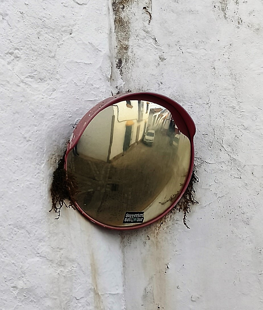 IMG 20251031 145856 (2)