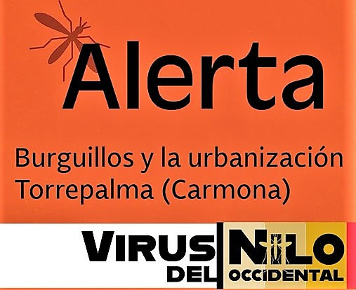 582028690 18405697657139689 7982133864570824410 n