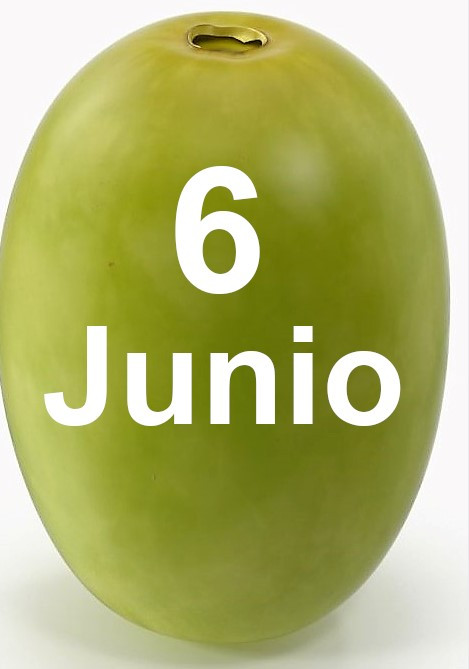 Junio