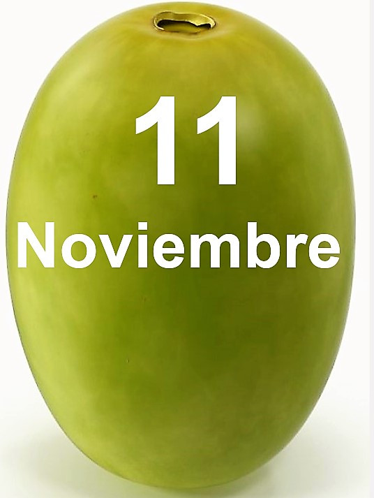Noviembre
