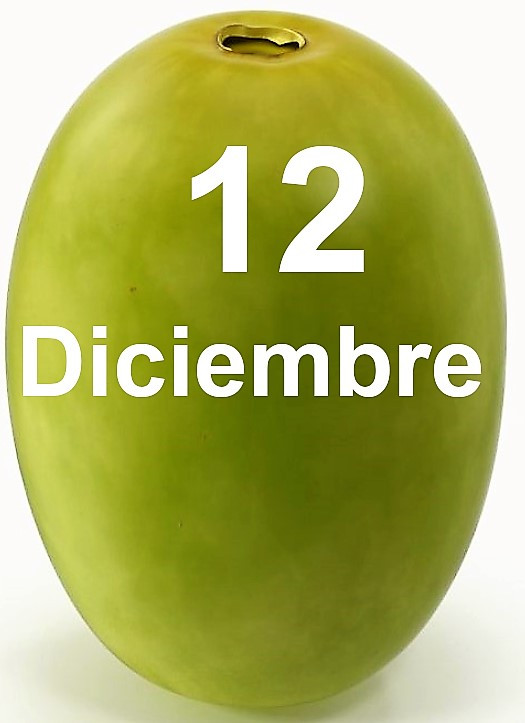 Diciembre
