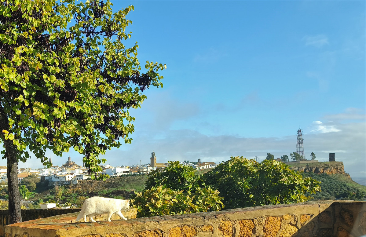 IMG 20251116 104856 (2)