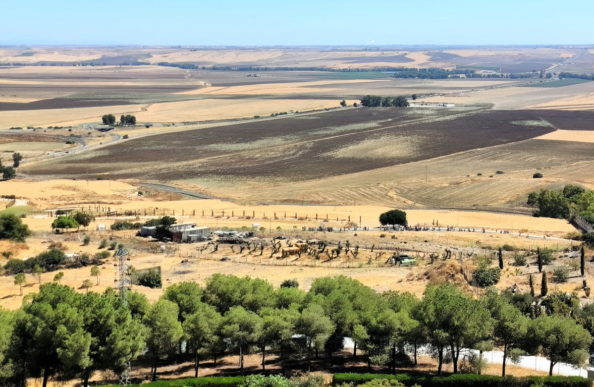 IMG 20250831 125644 (2)