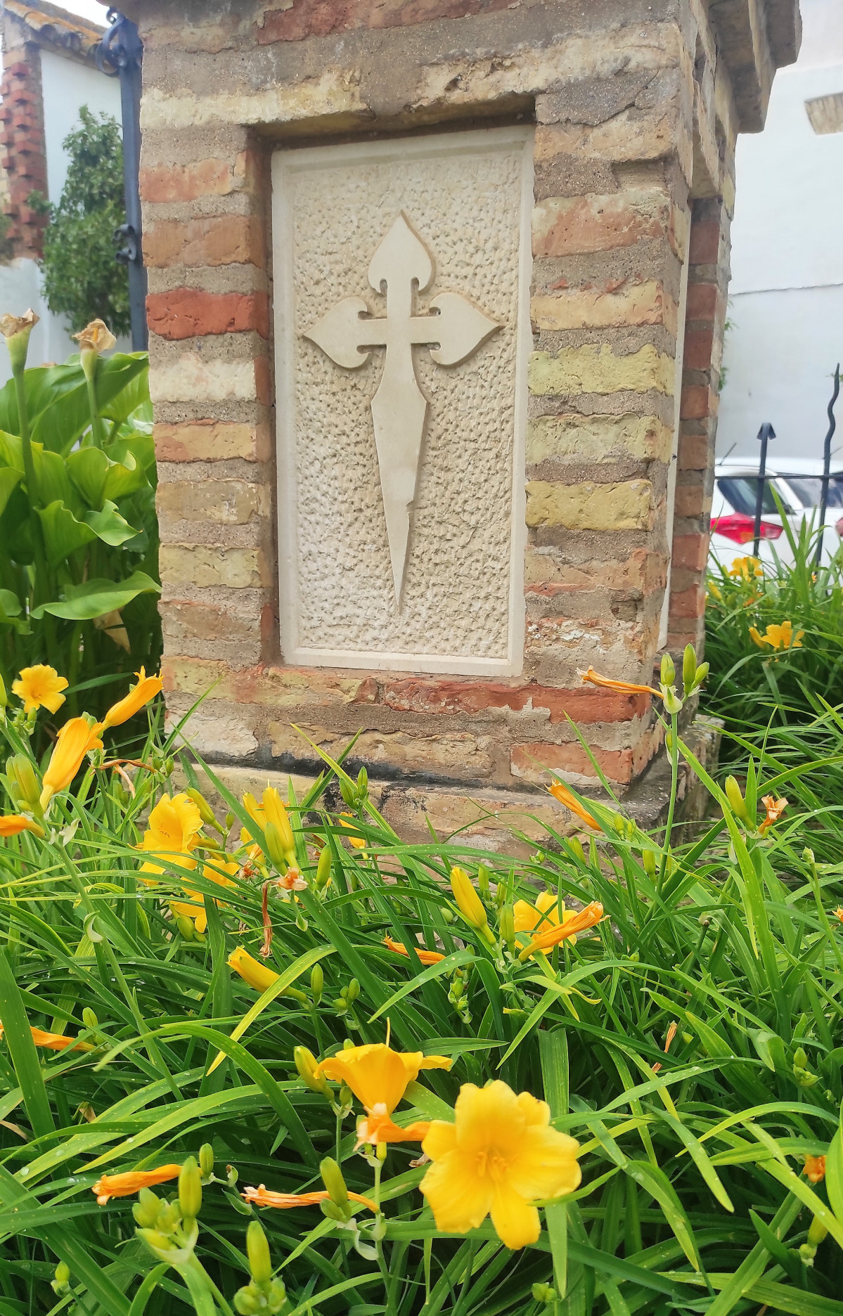 IMG 20250505 125759 (2)