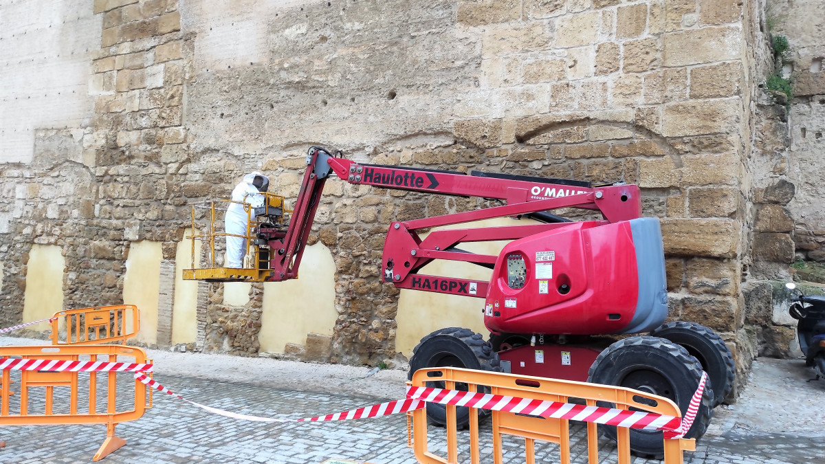 IMG 20250305 184039 (2)