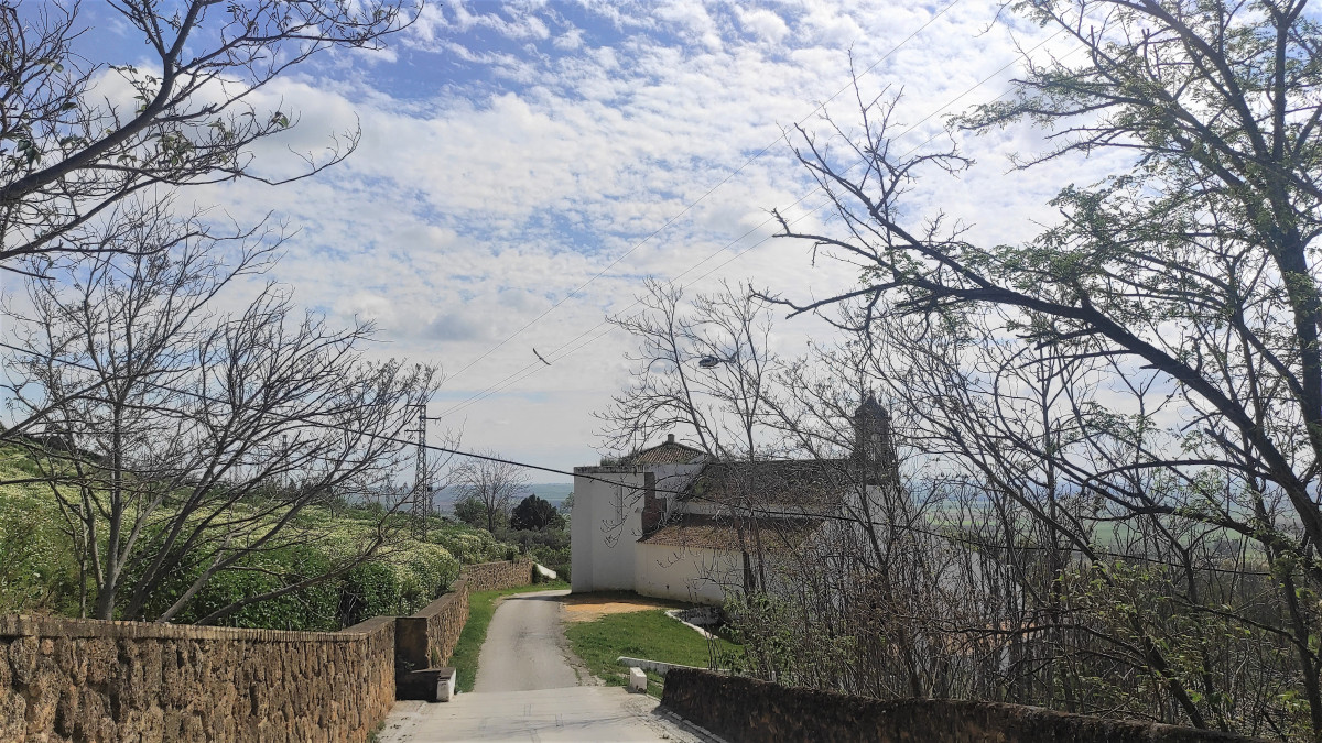 IMG 20250414 122054 (2)