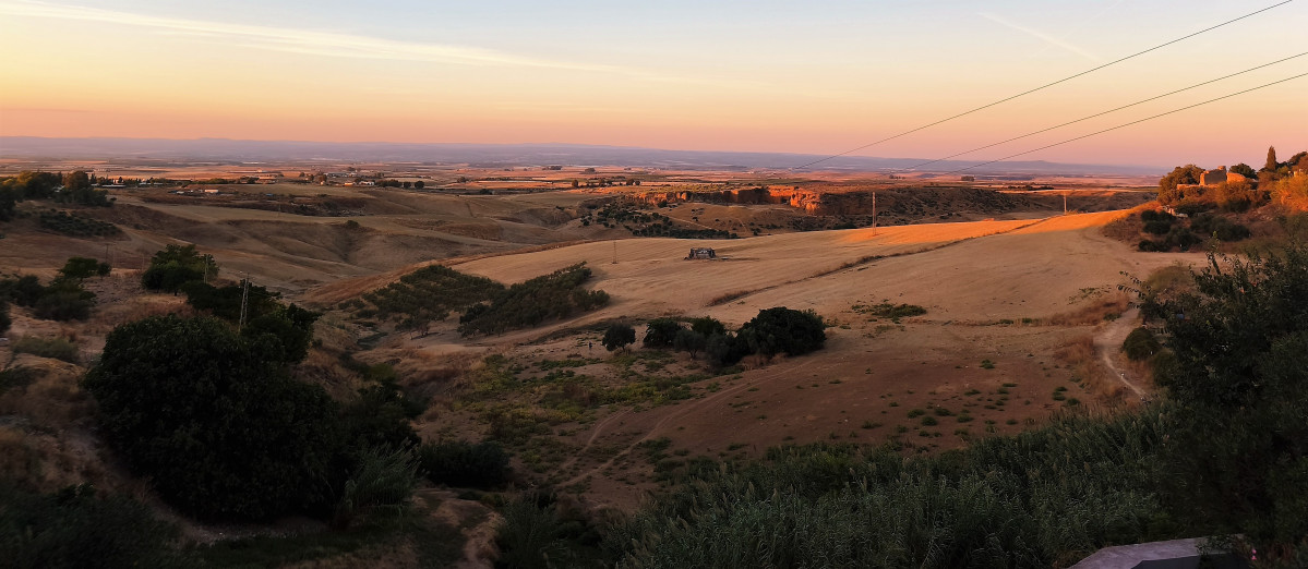 IMG 20251005 194959 (2)