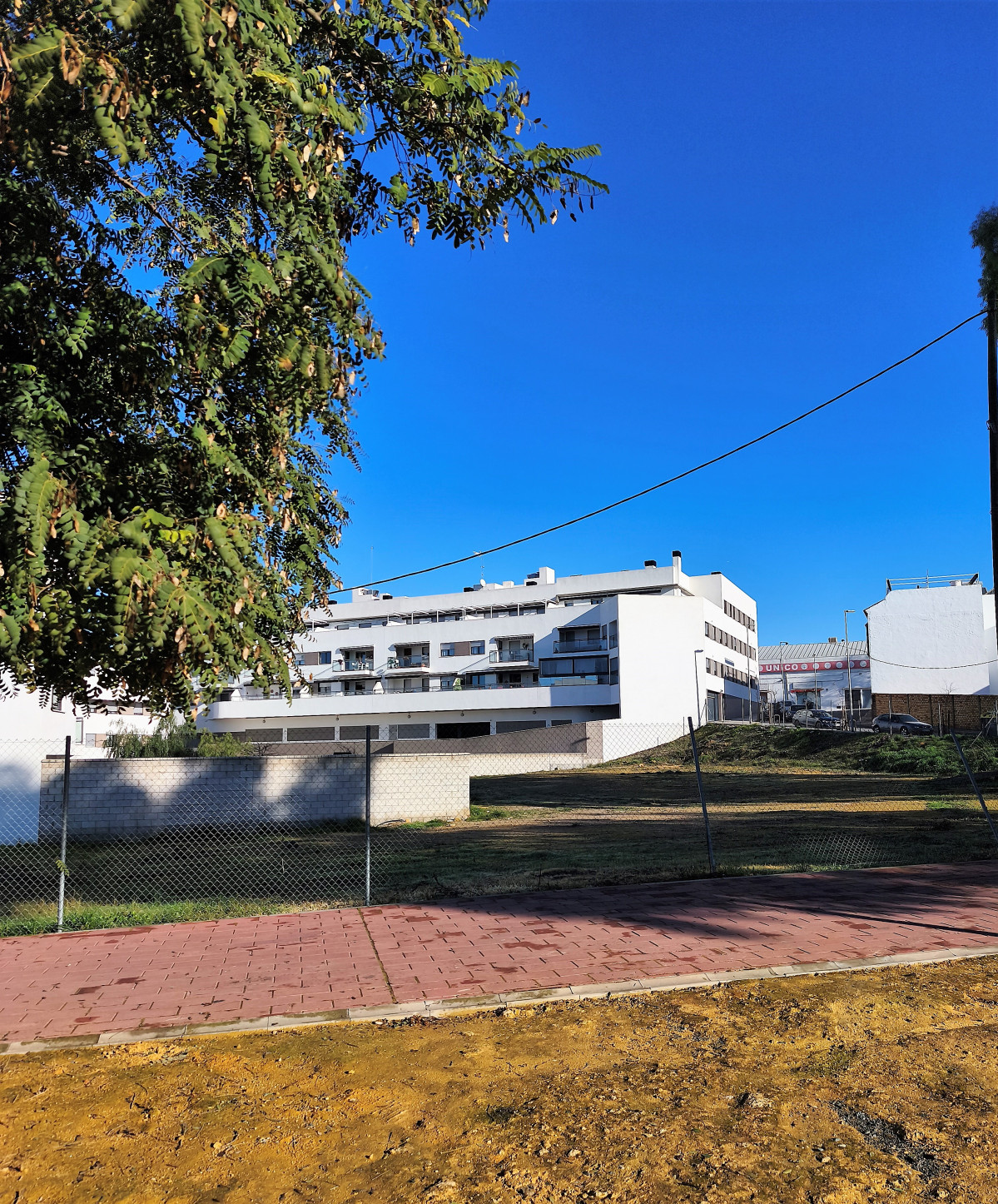 IMG 20260117 105131 (2)