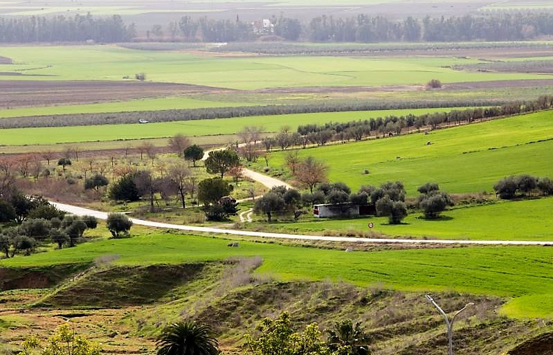 475 (4) MAIRENA DEL ALCOR Vía Verde de los Alcores