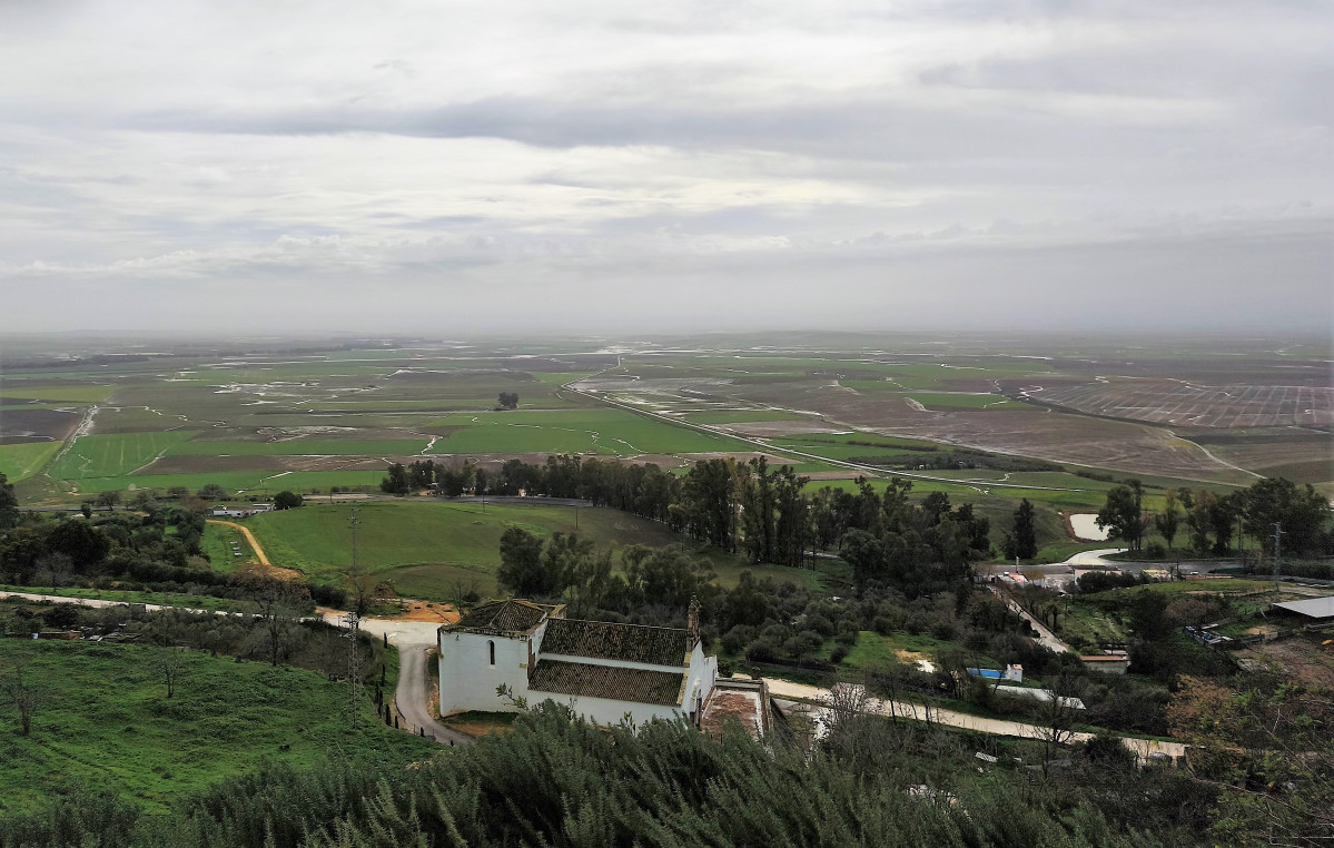 IMG 20260128 111453 (2)