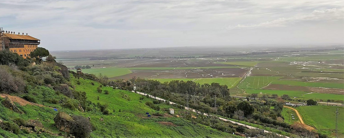 B390e739 ee0b 4762 a87e 73f0885512fb (2)