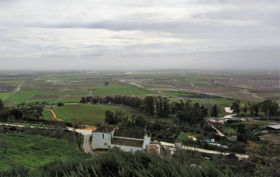 IMG 20260128 111453 (2)