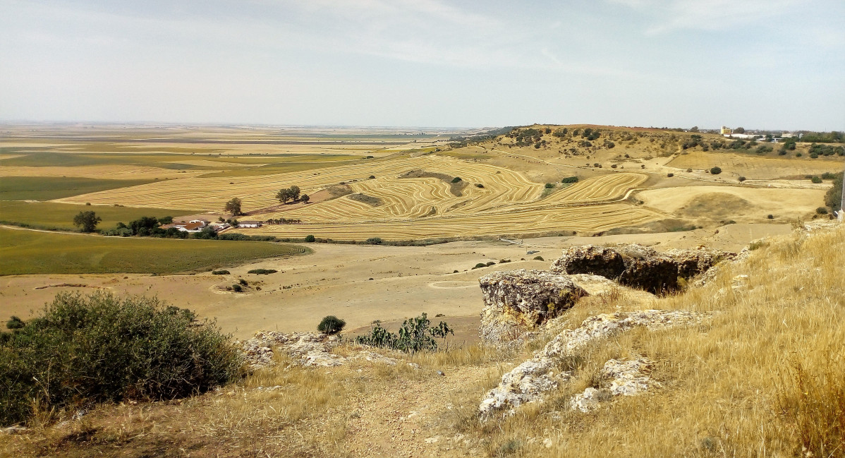 IMG 20210526 114653 (2)