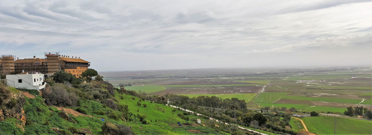 IMG 20260128 111458 (2)