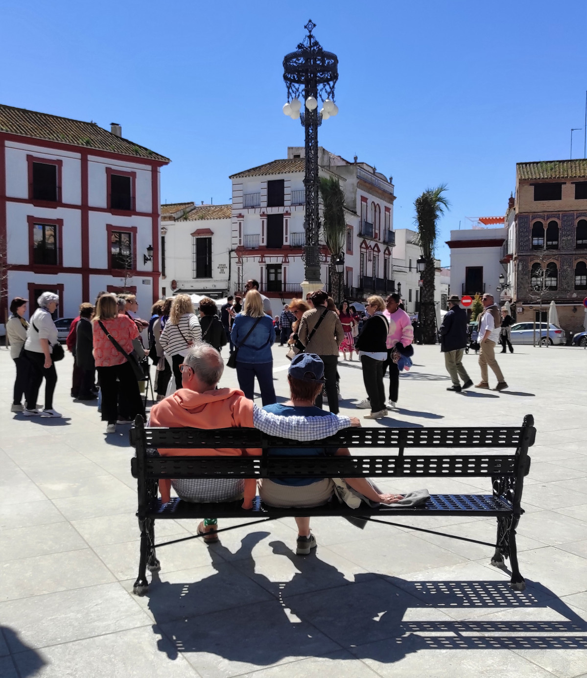 IMG 20250329 131934 (2)