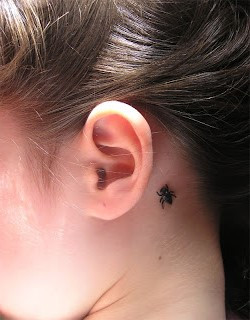 Con la mosca detras de la oreja 2