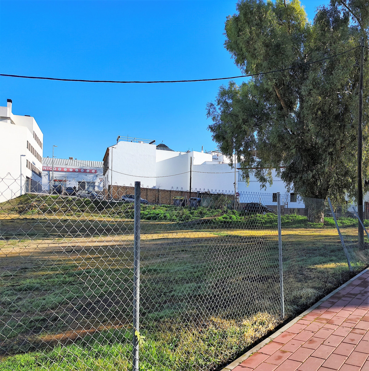 IMG 20260117 105212 (2)