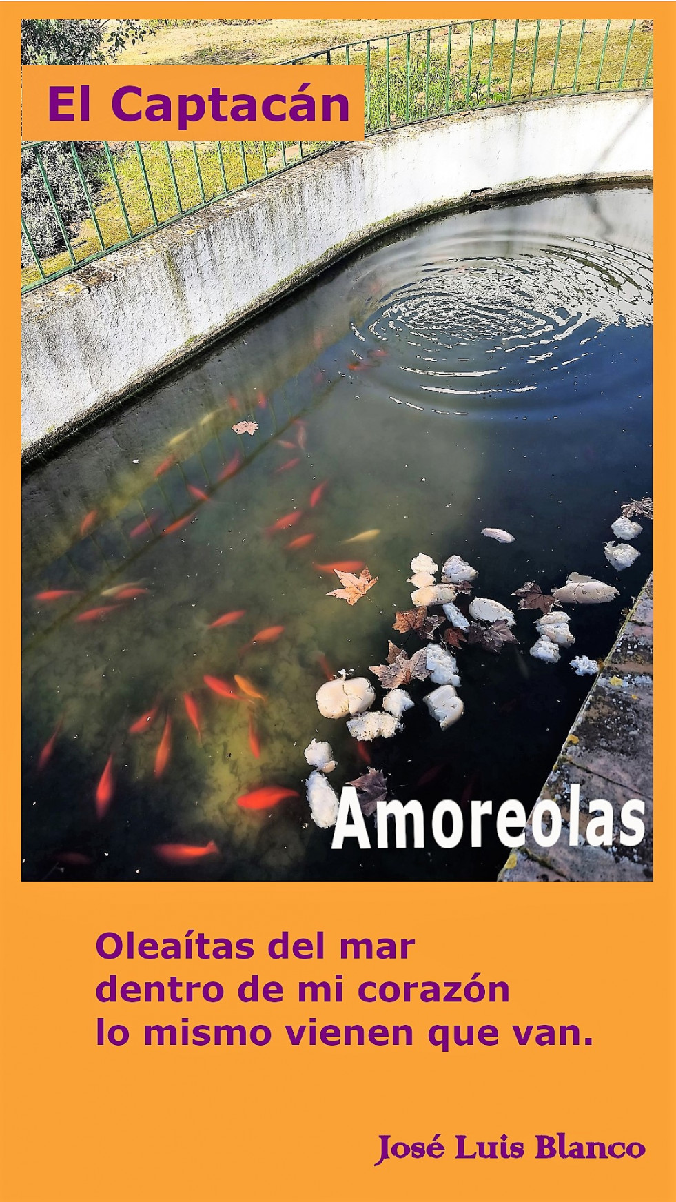05.  Amoreolas