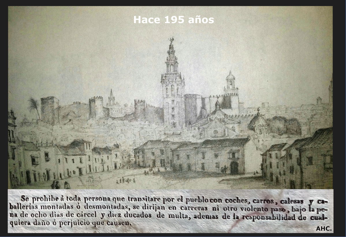 131b