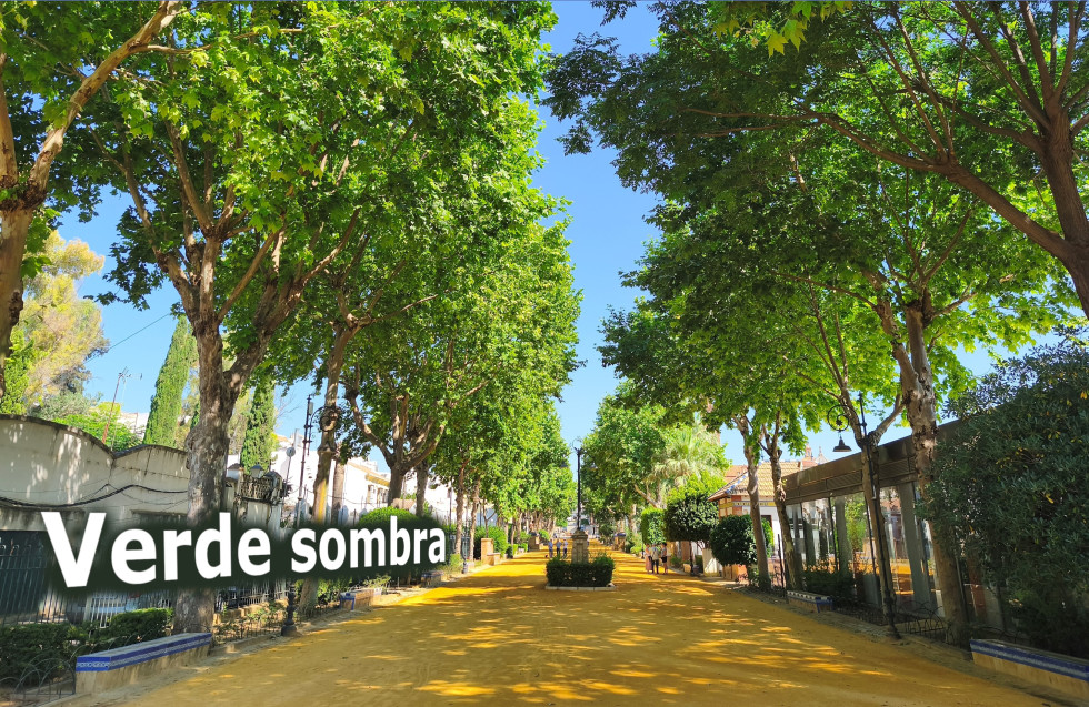 Portada7