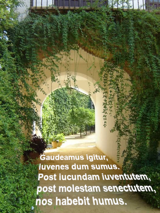 Pol
