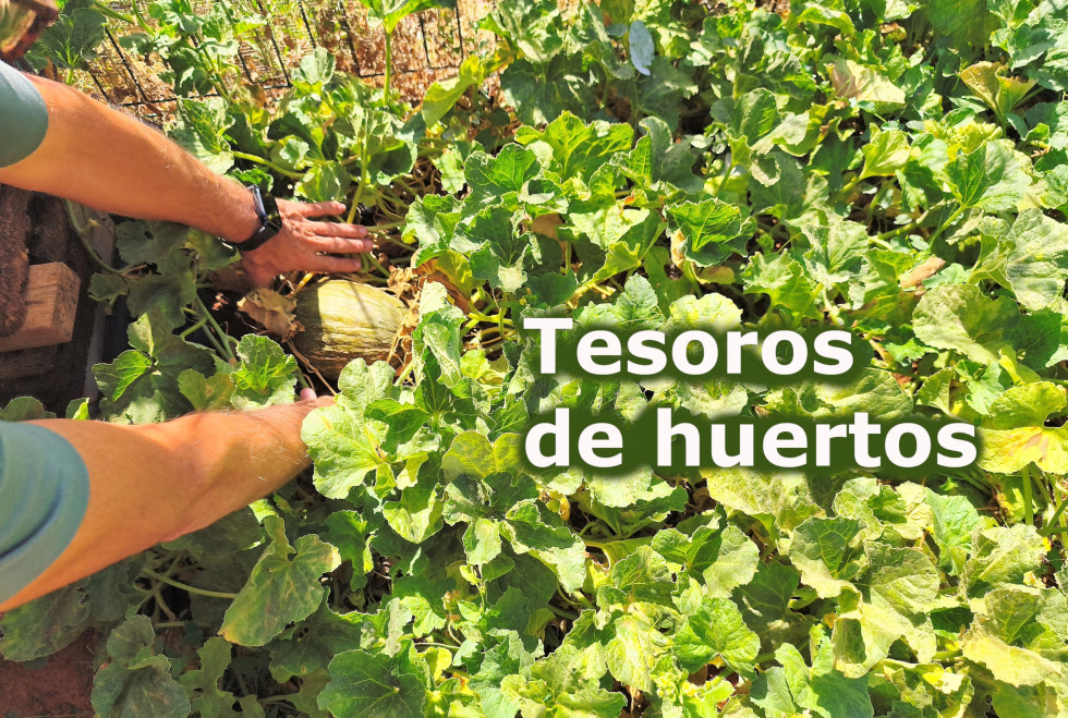 Portada1