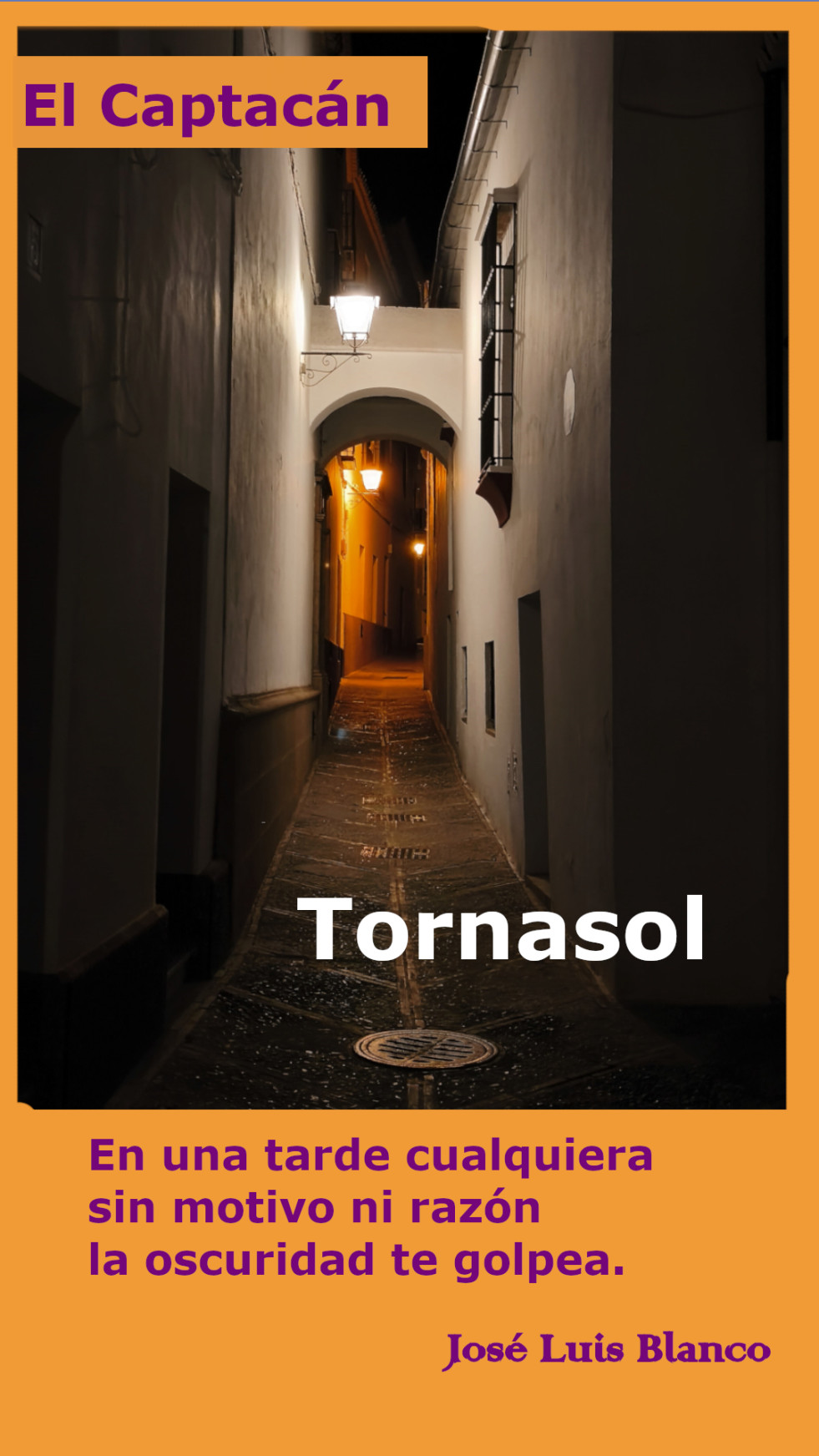 17.  Tornasol