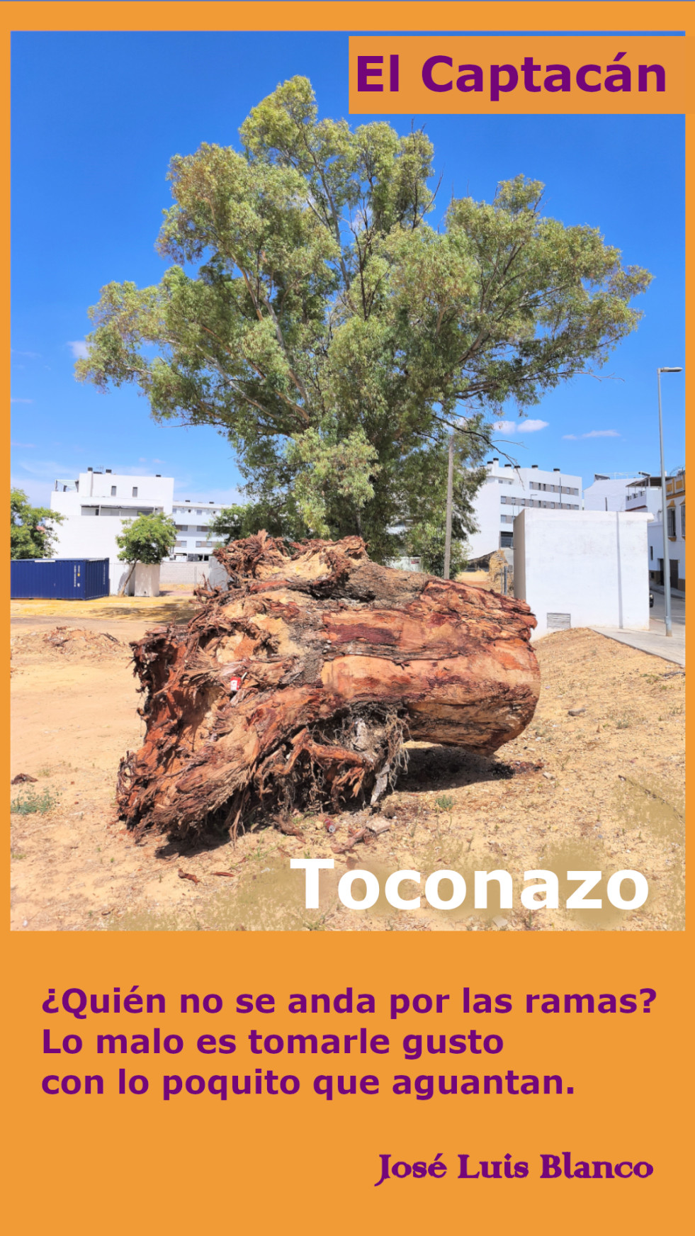 20.  Toconazo