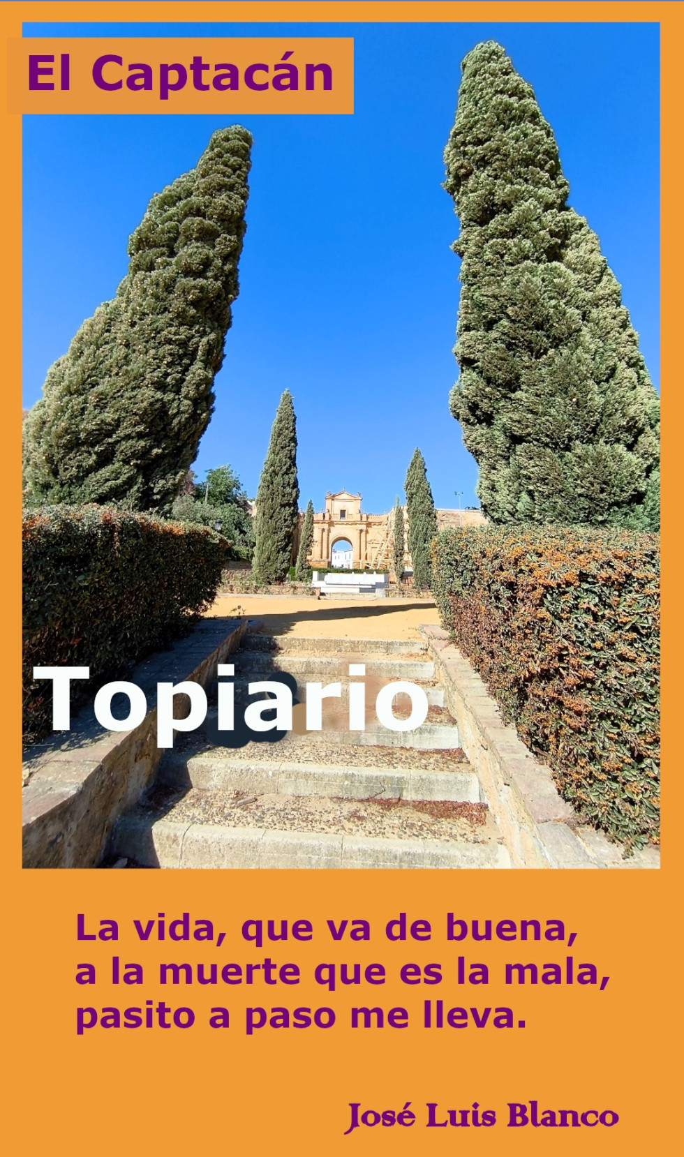 22.  Topiario