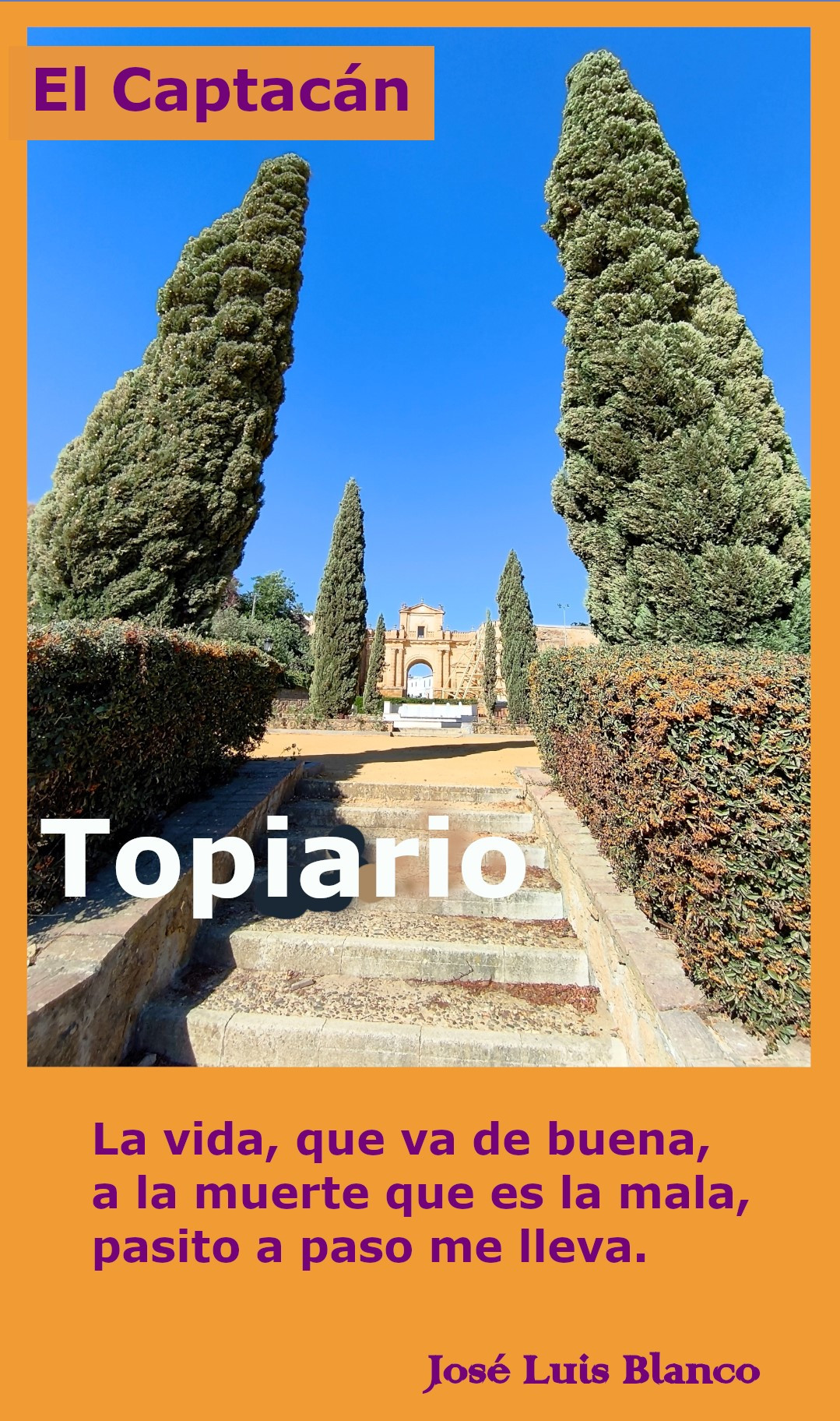 22.  Topiario