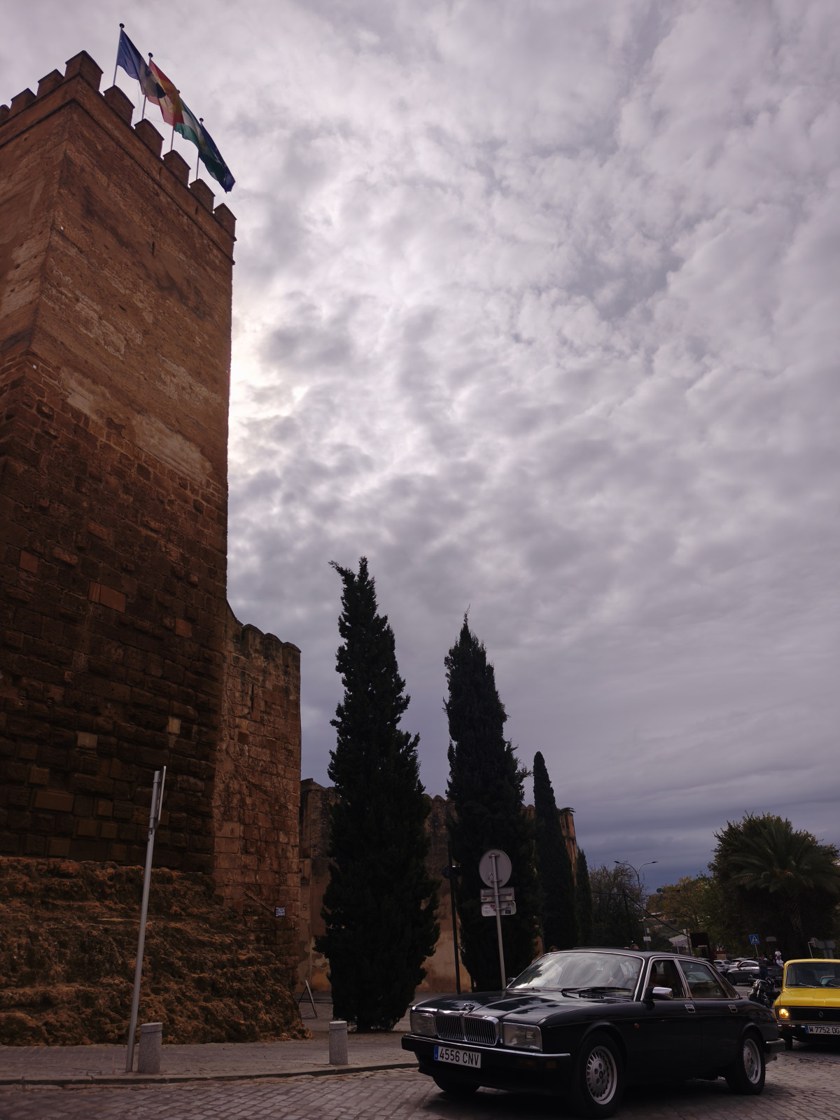 IMG 20261018 122002