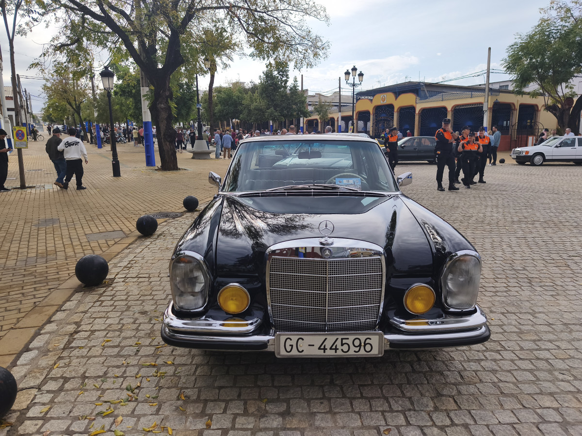 IMG 20261018 111929