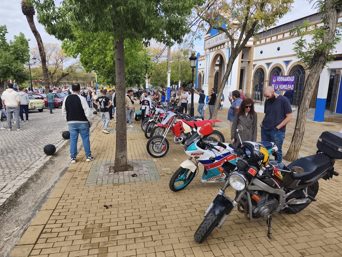 IMG 20261018 113451